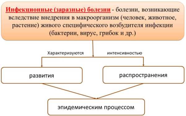 Инфекционные болезни что это такое и как их определить